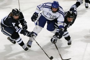 星空体育官网-爆冷引发热议！，凯恩在雄鹿比赛中刷新纪录赢得满堂喝彩